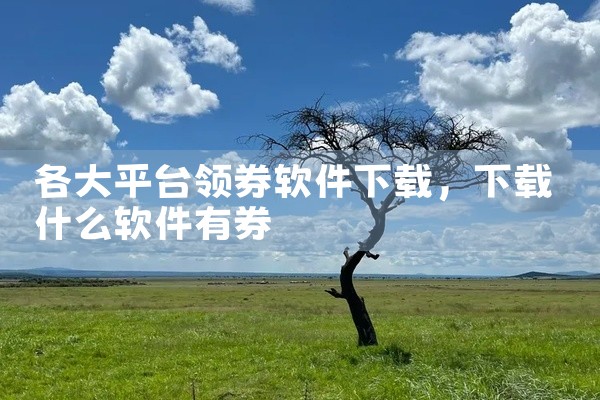 各大平台领券软件下载