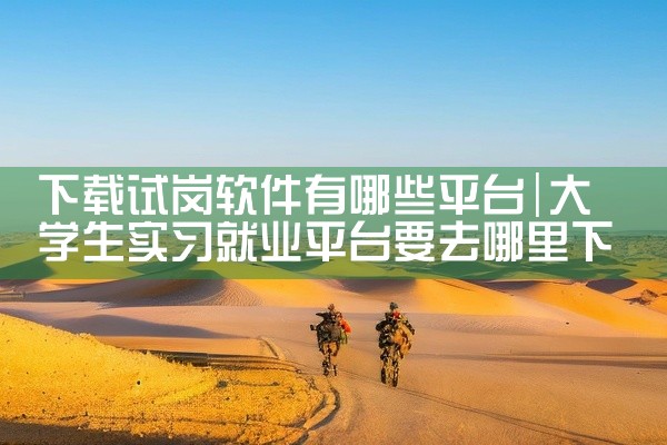 下载试岗软件有哪些平台