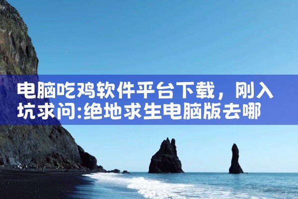 电脑吃鸡软件平台下载