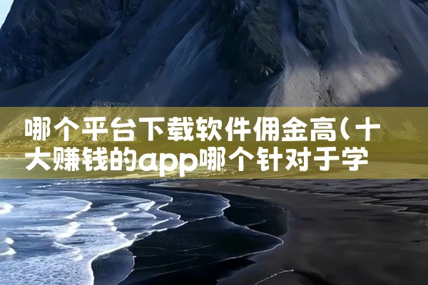 哪个平台下载软件佣金高