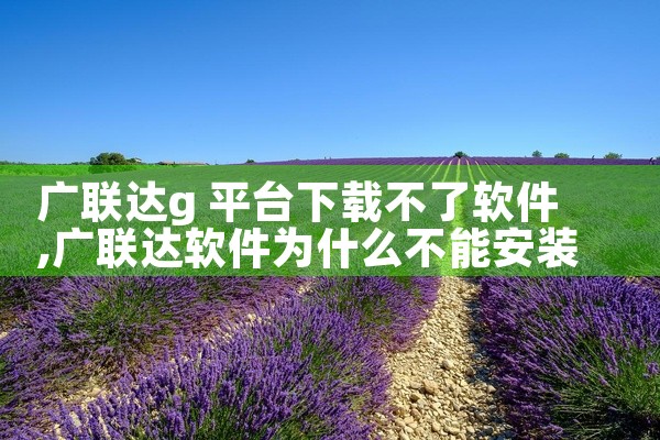 广联达g 平台下载不了软件
