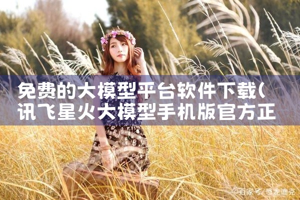 免费的大模型平台软件下载