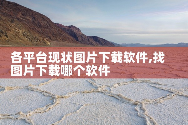 各平台现状图片下载软件