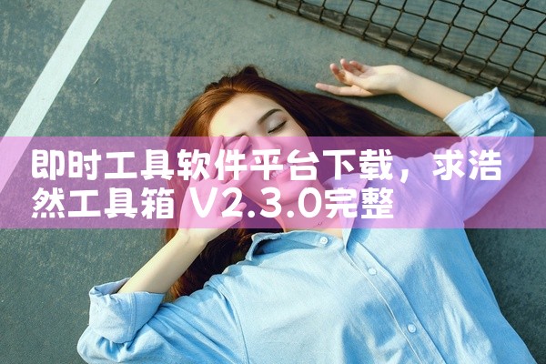 即时工具软件平台下载
