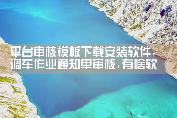 平台审核模板下载安装软件