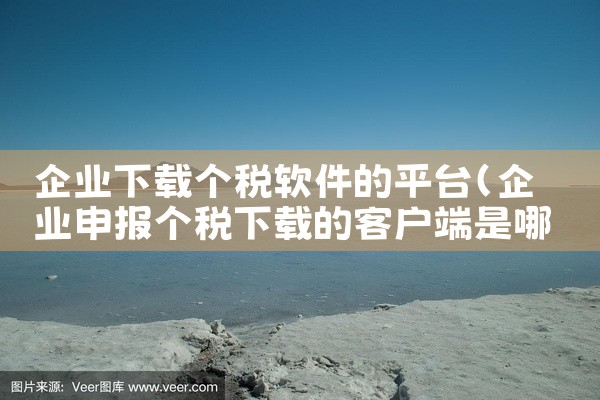 企业下载个税软件的平台
