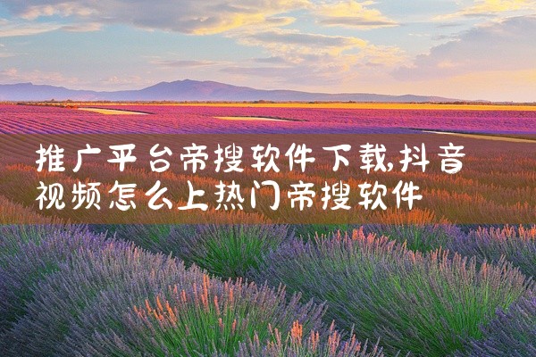 推广平台帝搜软件下载
