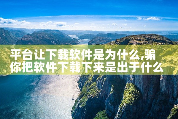 平台让下载软件是为什么