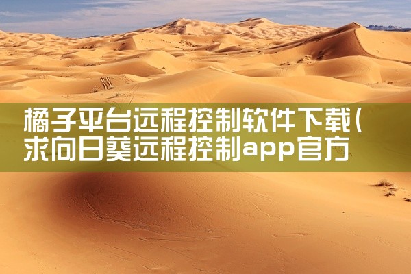 橘子平台远程控制软件下载