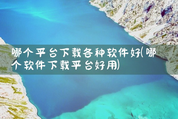 哪个平台下载各种软件好