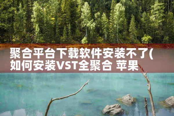 聚合平台下载软件安装不了