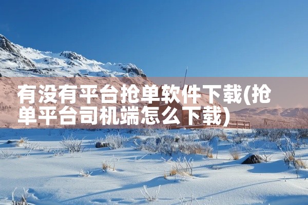 有没有平台抢单软件下载