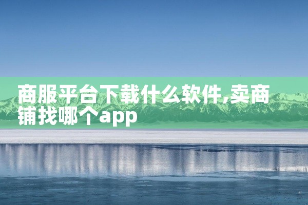 商服平台下载什么软件